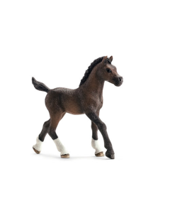 Arabisch Veulen, Horse Club Schleich 13762