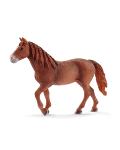 Morgan Merrie, Horse Club Schleich 13870