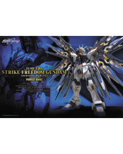 PG ZGMF-X20A Strike Freedom Gundam BANDAI 65506